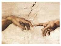 Michelangelo - Creation-Det (Puzzle)