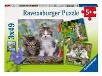 Ravensburger Kinderpuzzle - 08046 Süße Samtpfötchen - Puzzle Für Kinder Ab 5