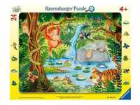 Ravensburger Kinderpuzzle - 06171 Dschungelbewohner - Rahmenpuzzle Für Kinder Ab 4