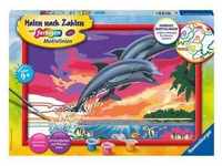 Ravensburger Malen Nach Zahlen 28907 - Welt Der Delfine - Kinder Ab 9 Jahren