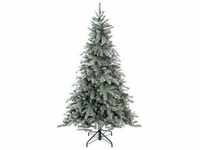 Weihnachtsbaum Fichte Frost I (Größe: 117X180cm)