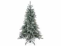 Weihnachtsbaum Fichte Frost Ii (Größe: 117X180cm)