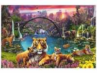 Tiger In Paradiesischer Lagune