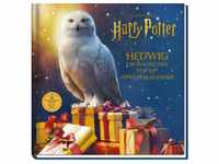 Aus Den Filmen Zu Harry Potter: Hedwig - Ein Magischer Pop-Up Adventskalender -...