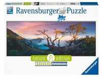Ravensburger Puzzle - Schwefelsäure See Am Mount Ijen, Java - Nature Edition 1000