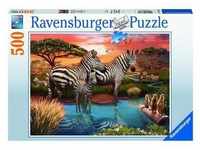 Ravensburger Puzzle 17376 Zebras Am Wasserloch - 500 Teile Puzzle Für Erwachsene Und