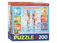 Der Menschliche Körper (Puzzle)