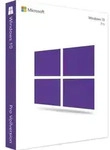 Windows 10 Professional