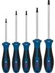 Schraubendreher-Set TX (5-teilig)