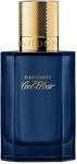 Davidoff Cool Elixir f&uuml;r Herren - Luxuri&ouml;ses Parfum Spray 50ml