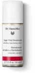 Dr. Hauschka Salbei-deodorant 50 ml 0198505c-f414-7b56-937d-e084310deb17