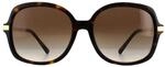 Michael Kors Square Womens Dark Tortoise Gold Braun Gradient Sonnenbrille