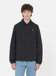 Dickies Jacken OAKPORT COACH
