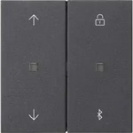 Gira Jalousie- und Schaltuhr Blutooth System 3000 anthrazit 536728
