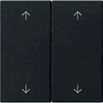 Gira Wippe 2-fach Pfeile System 55 Schwarz matt 5387005