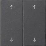 Gira Wippe 2-fach Pfeile System 55 Anthrazit 538728