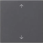 Gira Wippe 1-fach Pfeile System 55 Anthrazit 538928