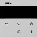 Gira S3000 RTR Display System 55 Grau matt 5393015