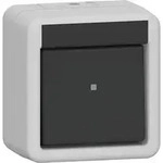 Gira Wippschalter AusWe WG AP Grau 310630