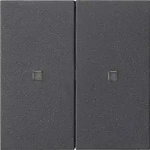 Gira KNX RF Bedienaufsatz 2-fach System 55 Anthrazit 510728