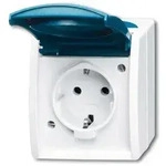 Busch-Jaeger Schuko-Steckdose gr/blgn AP, mit Klappdeckel 20 EW-53