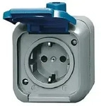 Busch-Jaeger SCHUKO Steckdose Klappdeckel AP Duro 2000 WDI/2300 EWDV 2300EWSI