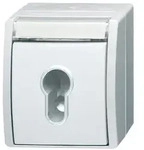 Busch-Jaeger Schl&uuml;sselschalter 2733 SLW-54
