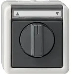 Gira Jalousietaster/Schalter grAP-WG 015430
