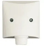 Busch-Jaeger Zentralscheibe Leit.Ausl. IP44 Allwetter weiss 2133-32