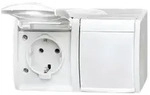 Busch-Jaeger Schuko-Steckdose 2-fach mit Klappdeckel 20/2 EW-54