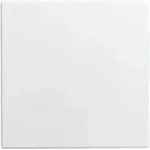 Busch-Jaeger Zentralscheibe Info-Light Blind Busch-balance SI alpinweiss 1576C-914