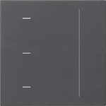 Gira S3000 Touchaufsatz System 55 Anthrazit 536528