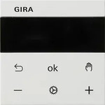 Gira RTR Display Reinwei&szlig; 539327