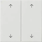 Gira Wippe 2-fach Pfeile System 55 Reinwei&szlig; 538703