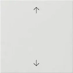 Gira Wippe 1-fach Pfeile System 55 Reinwei&szlig; 538903