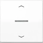 Jung HOME Taster 1fach Peilsymbole Serie AS Alpinwei&szlig;, Duoplast BTAS17101PWW