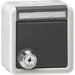 Gira SCHUKO-Steckdose KD WG AP Grau +BSF Schloss gleich 456930