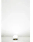LED-Beleuchtungssockel kalt wei&szlig;