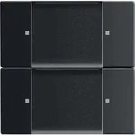 Busch-Jaeger Wandsender 6736/01-885