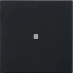 Gira Funk-Bedienaufsatz 5495005