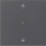 Gira Funk-Bedienaufsatz 549428