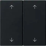 Gira Wippe 2-fach 5387005