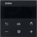Gira RTR Display 5393005