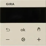 Gira RTR Display 539301