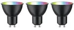 Paulmann LED-Standardlampe 291.53