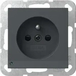 Gira Steckd. Erdstift LED 448928