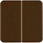 Berker Wippe br/gl 155211