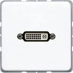 Jung Multimediadose DVI MA CD 1193 WW