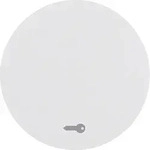Berker Wippe pows/gl 16202059