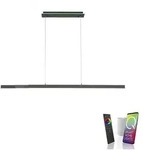 Neuhaus Leuchten LED-Pendelleuchte 2569-13